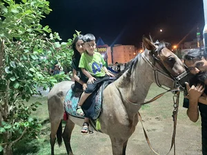 میدان لنج