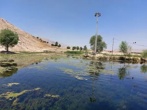 دریاچه شلمزار