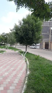 پارک باران