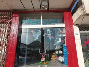 دنیای حیوانات