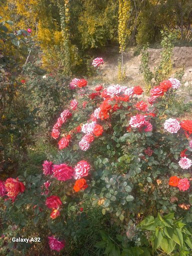 مشاور املاک سناتور تفت