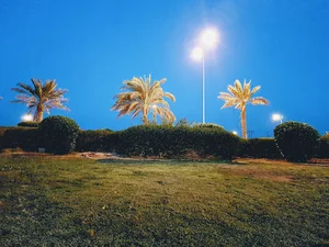 Bediyah Park