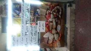 پروتئین ستایش 2