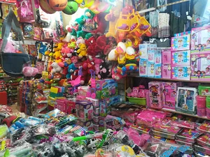 Toys_sari