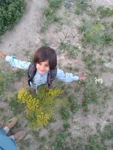خیاطی مهربان رحیم