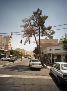 فروشگاه شیرآلات و تجهیزات داخلی ساختمان 2