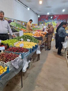 میوه فروشی شکرستان 3