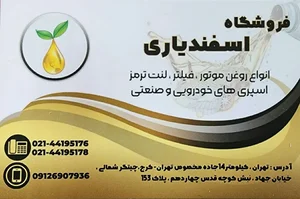 فروشگاه اسفندیاری(روغن موتور ، فیلتر ، لنت ، اسپری خودرو و...) 3