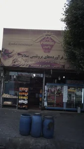 فرآورده های پروتئینی میلاد 2