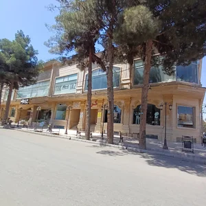 مانتو تک تاز