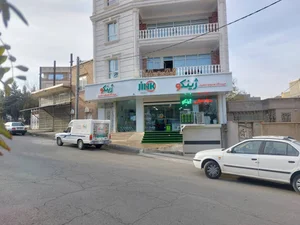 فروشگاه مواد غذایی ژینکو