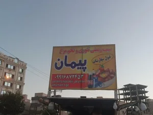 سیب زمینی تخم مرغ تنوری پیمان