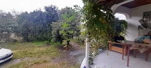 روستای سکام