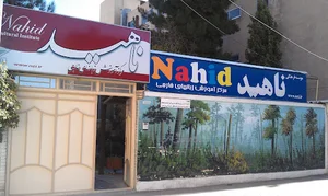 Nahid Cultural Institute مرکز آموزش زبان‌های خارجی