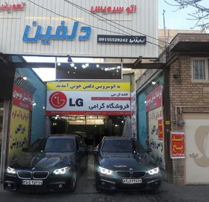 کارواش دلفین بیژنی