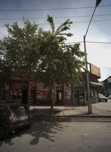 سوپر تمشک