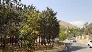 اداره منابع طبیعی و آبخیزداری شهرستان شمیرانات