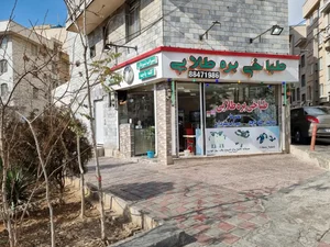 طباخی بره طلایی 2