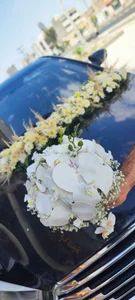 گل فروشی بامبو 4