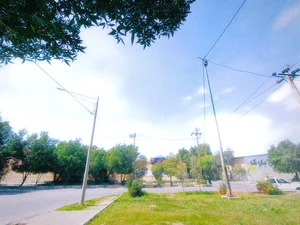 فضای سبز