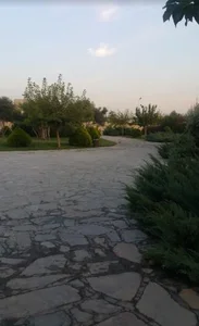 پارک زیتون 2