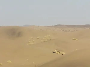 چاهشور