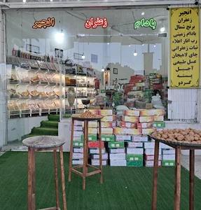 خشکبار نظری