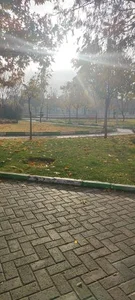 بوستان ولیعصر 5