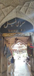 کافه فیل 5