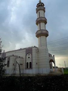 مسجد أبو يونس