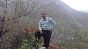 مصالح ساختمانی تاج گردون