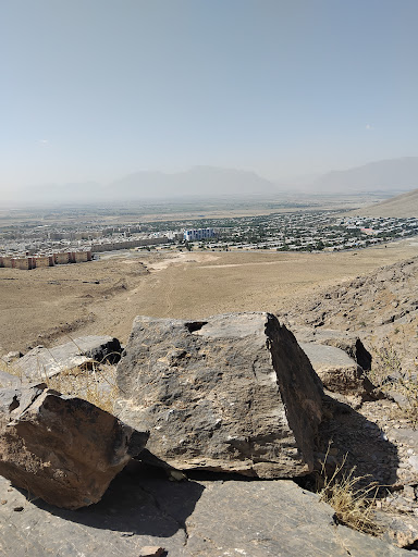 پناهگاه زنده یاد علی اکبر باقری