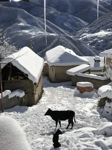 روستای زنگیان