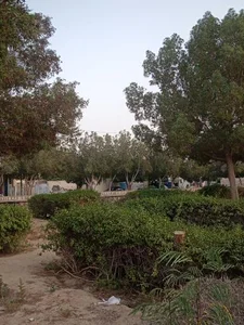 بوستان 4