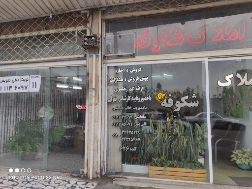 املاک شکوفه