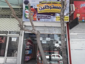 شوینده بهداشتی مستر کلین 3