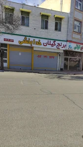 برنج گیلان