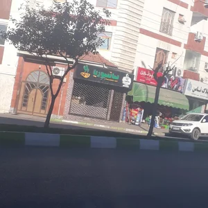 Sansevieria Café سانسوریا