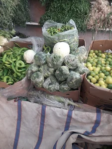 سبزی سرا سید ابوالفضل مصطفایی