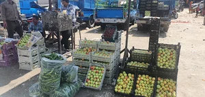 میدان مرکزی میوه و تره‌بار قزوین