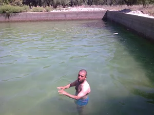 آلبوم پدیده