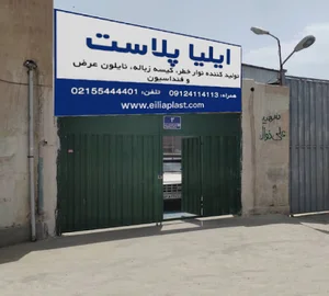 ایلیا پلاست