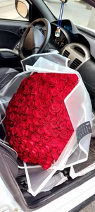 گلسرای آمالیس 2