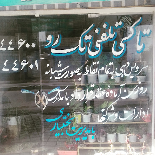 تاکسی تلفنی تک رو
