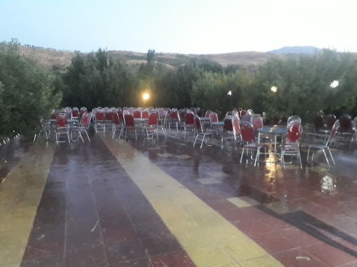 باغ رستوران شانار