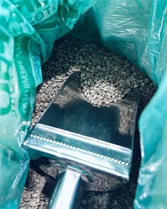 Dam Coffee 2
