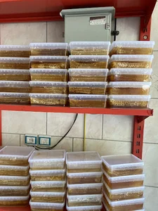 عسل اسماعیلی