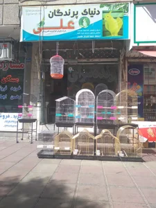 دنیای پرندگان علی 2