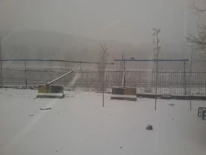 ماشین سازی رافی