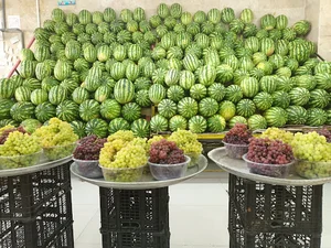 بازار میوه تربار نسترن